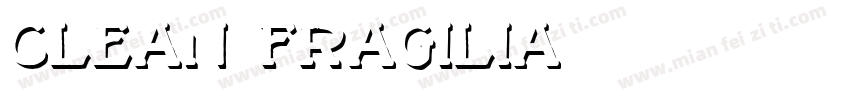Clean Fragilia字体转换